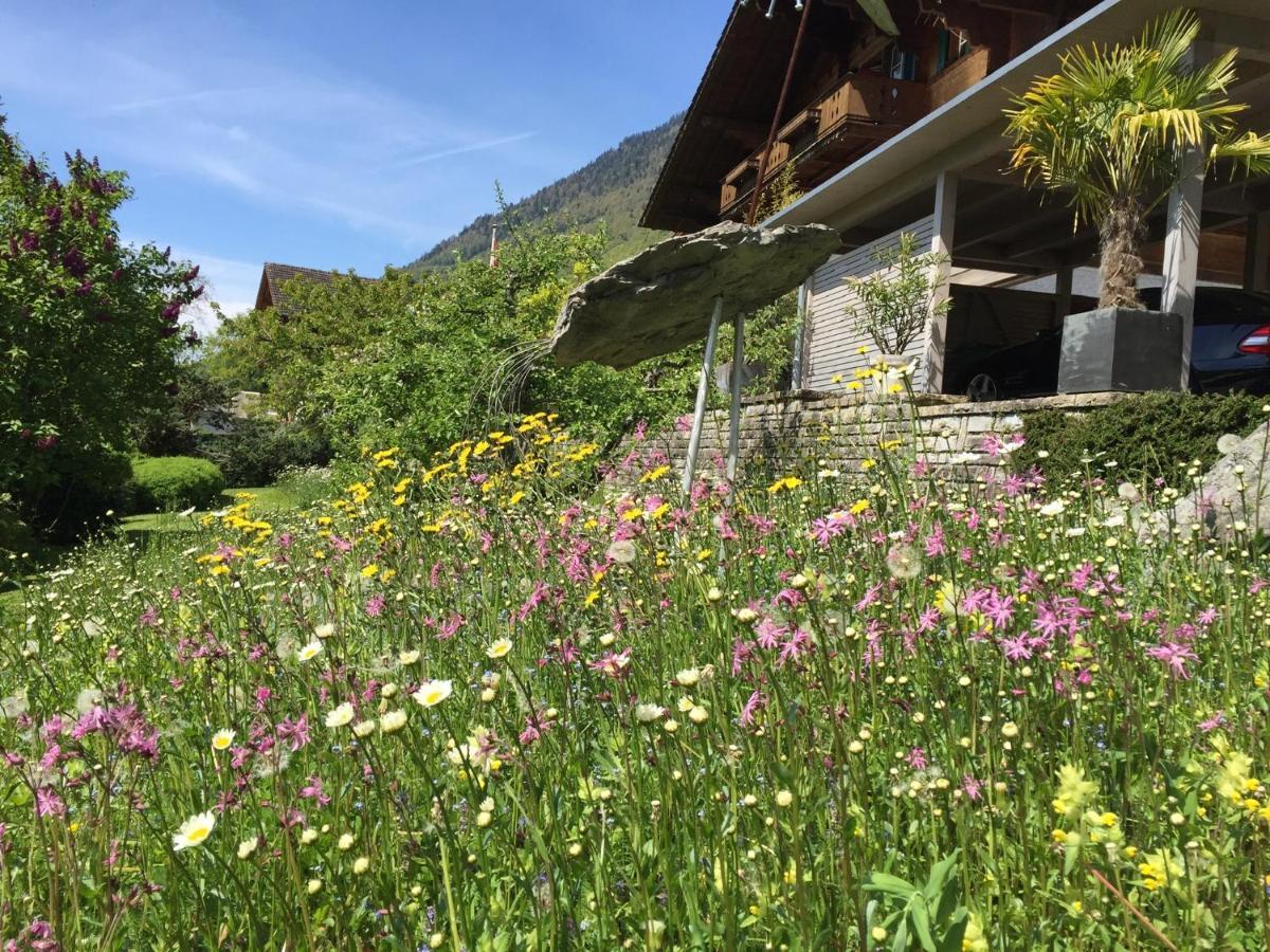Chalet Rosemarie リングゲンベルク エクステリア 写真